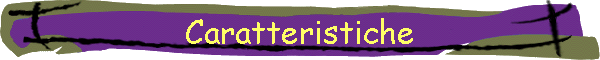 Caratteristiche